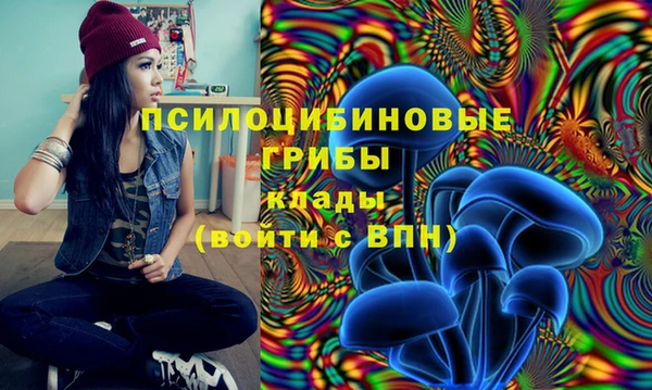 стафф Алзамай