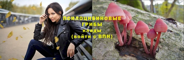герыч Алексин